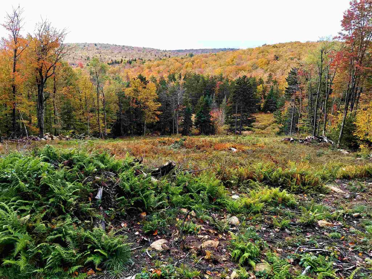 189 Route 8 - Photo 1