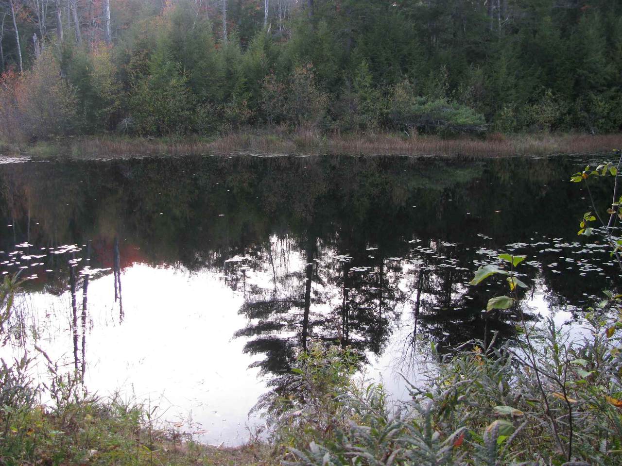 0 Homestead Road - Photo 1