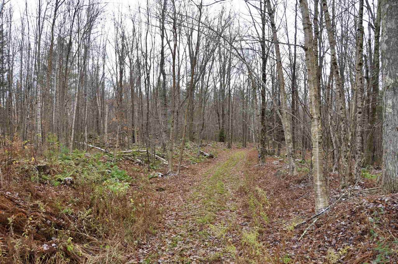 TBD Fire Brook Road - Photo 1