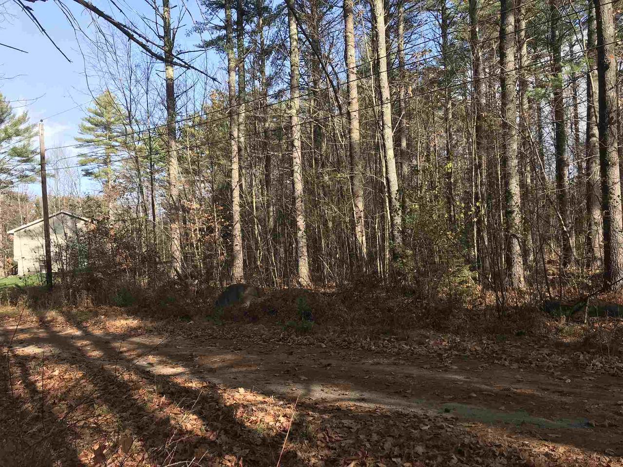 4 Mill Pond Road - Photo 1