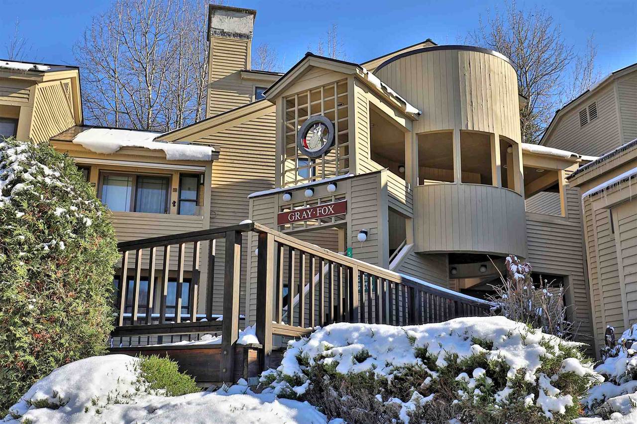 56 Fox Hollow Village - Photo 1