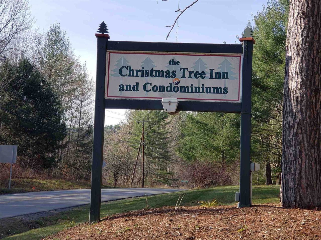 18 Christmas Tree Road - Photo 1