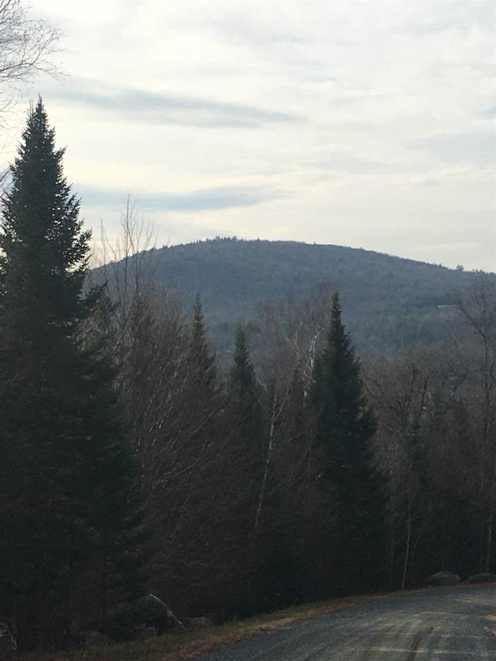 13 Franconia Mountains Road - Photo 1