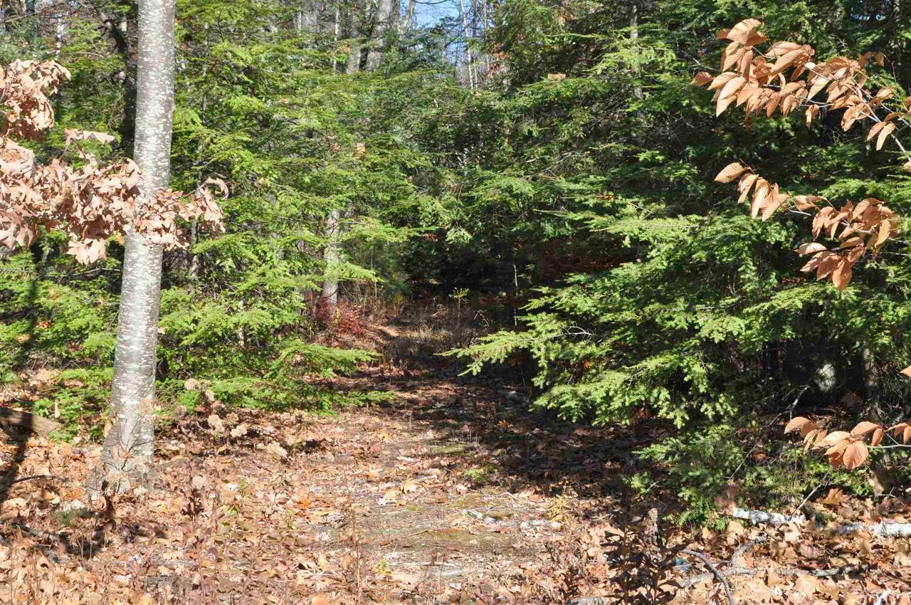 Green Road - Photo 1