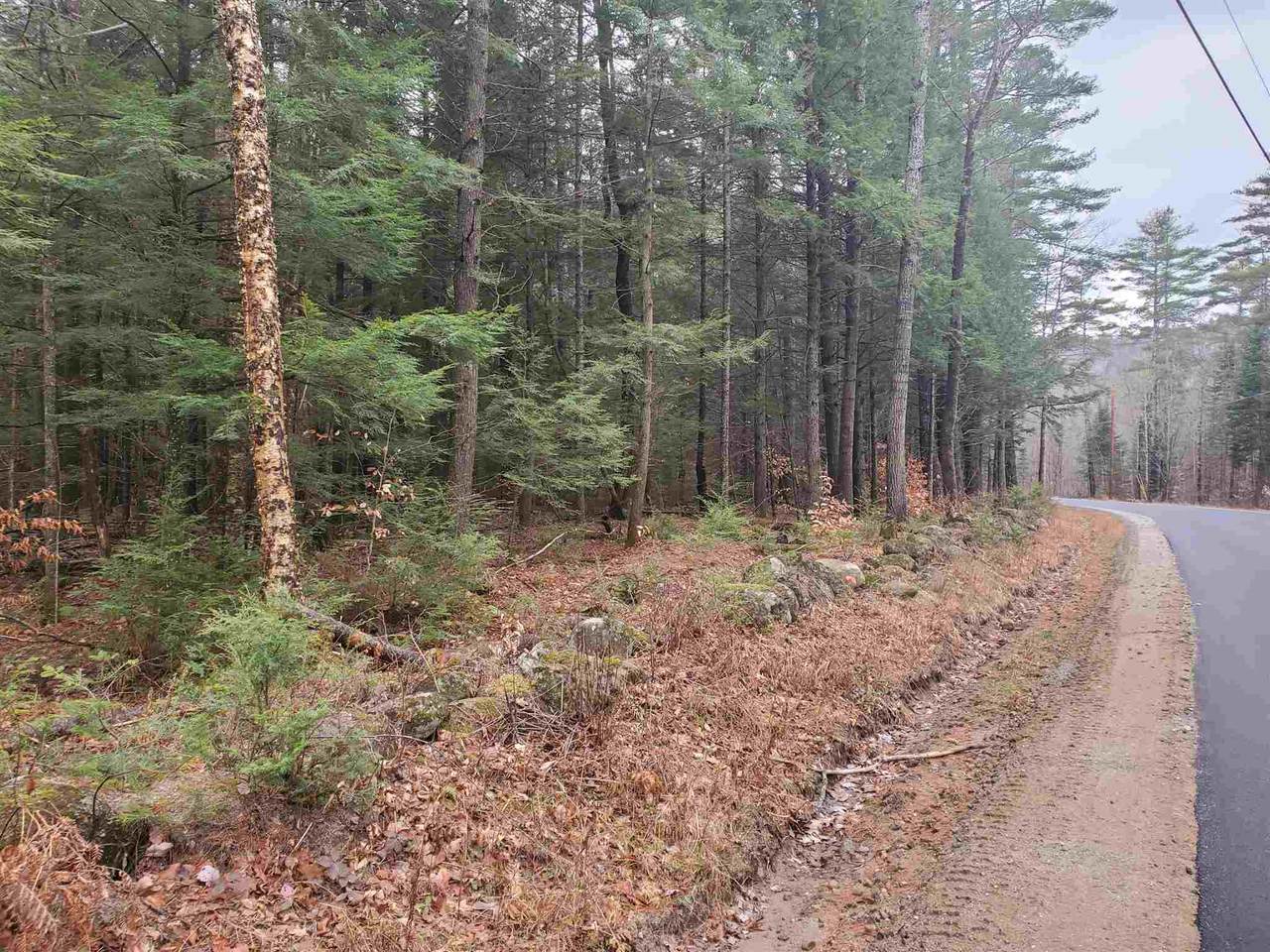 0 Wilmot Center Road - Photo 1