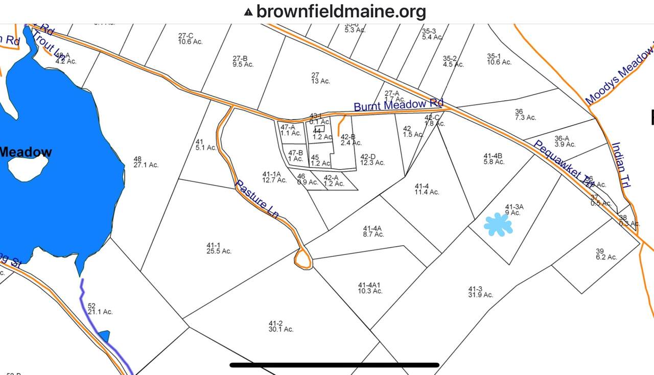 Lot 41-3A Pequawket Trail - Photo 1