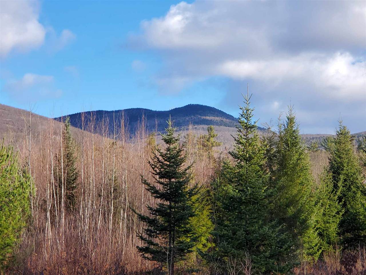 Lot 28 Mountain Shadows Drive - Photo 1