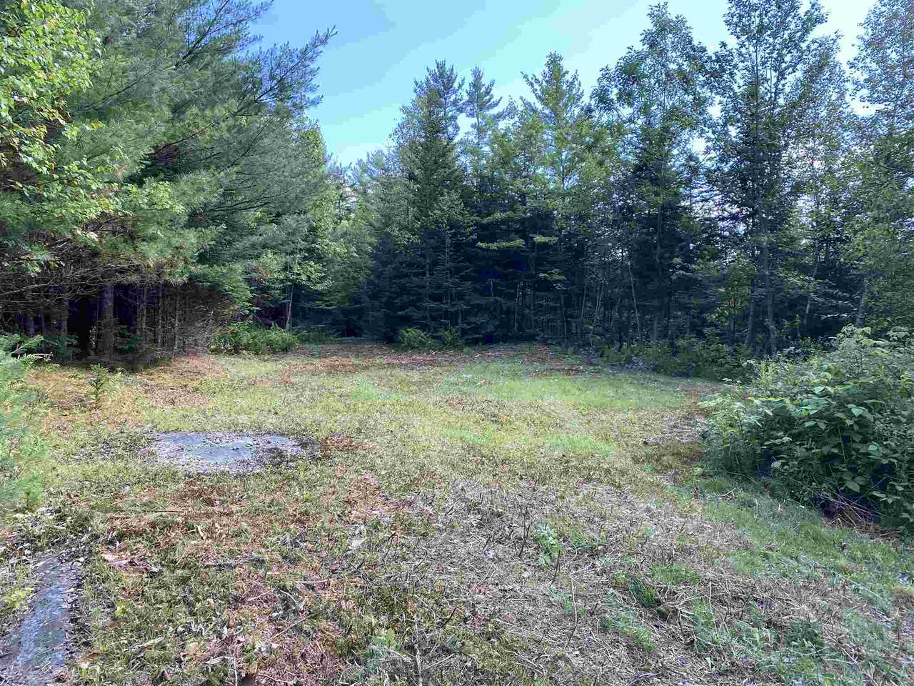 Lot 52 Blackberry Lane - Photo 1