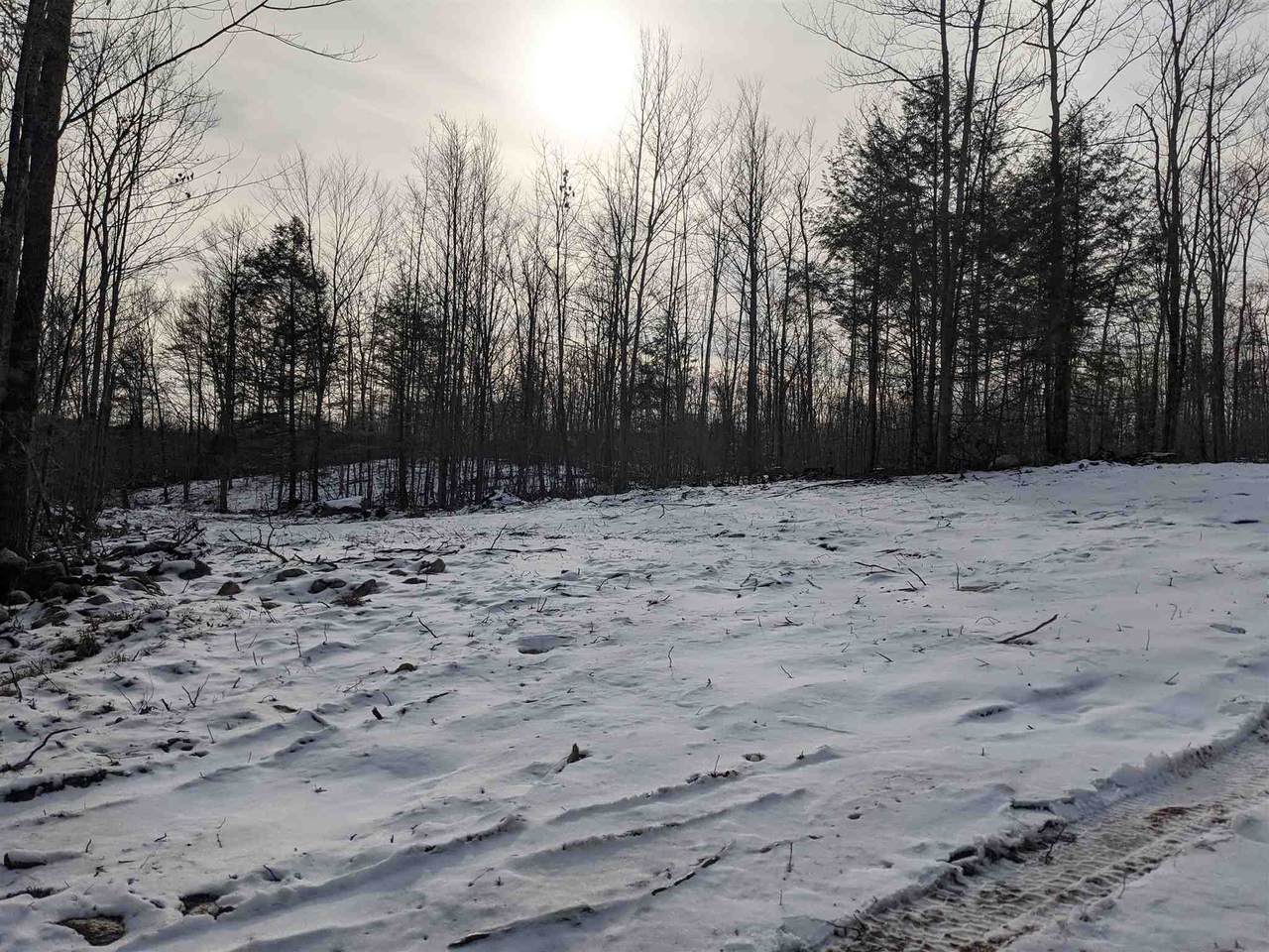 0 Endicott North Street - Photo 1