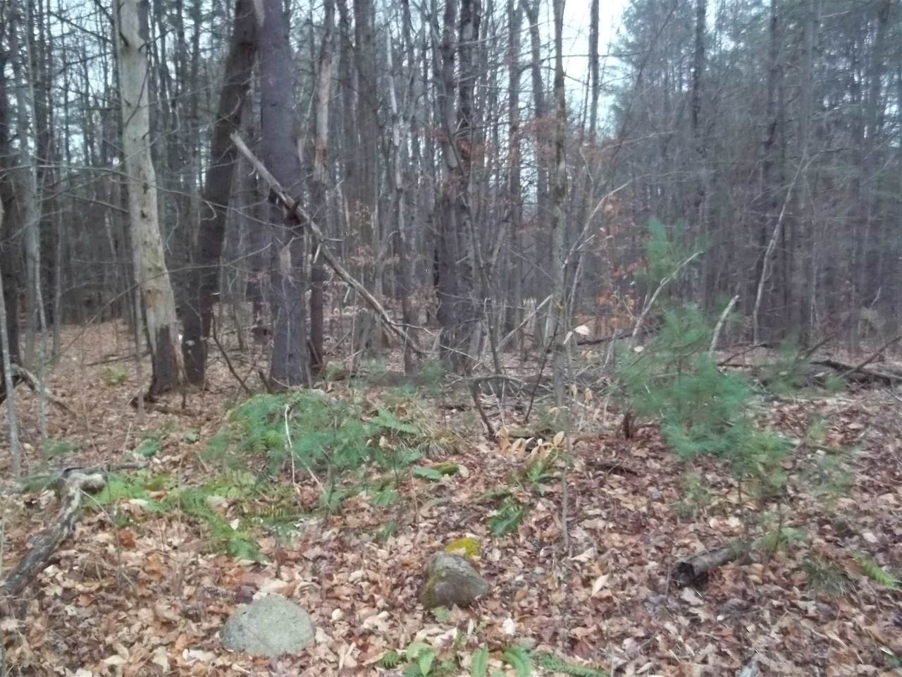 0 Cobb Hill Road - Photo 1