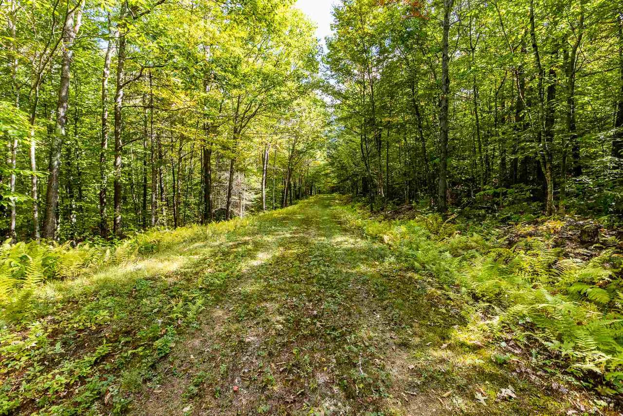 Lot 6 North Wilmot Road - Photo 1