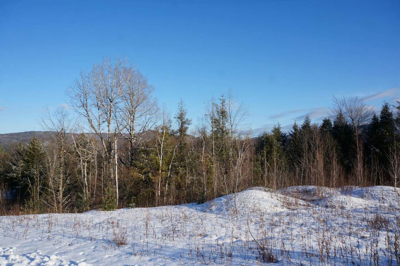 70 Appletree Lane - Photo 1