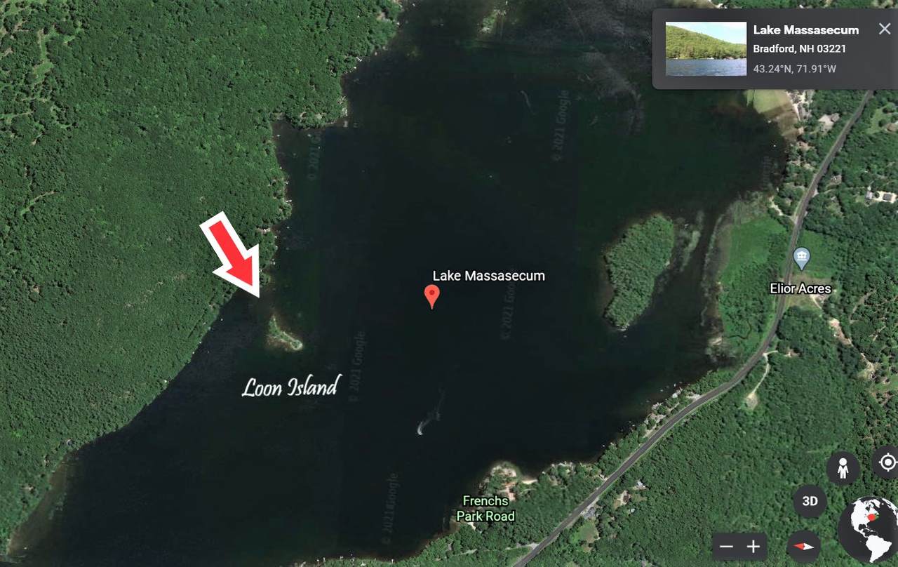 Loon Island - Photo 1