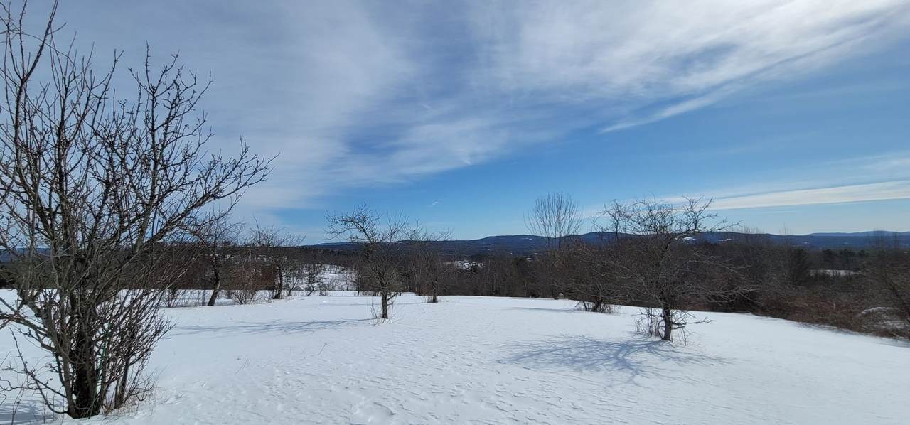 Lot 3 Upper City Road - Photo 1