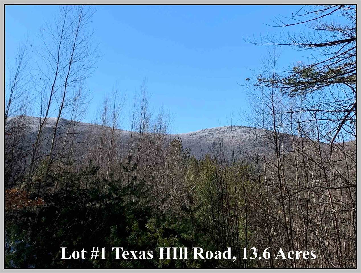 Lot #1 Texas Hill Road - Photo 1