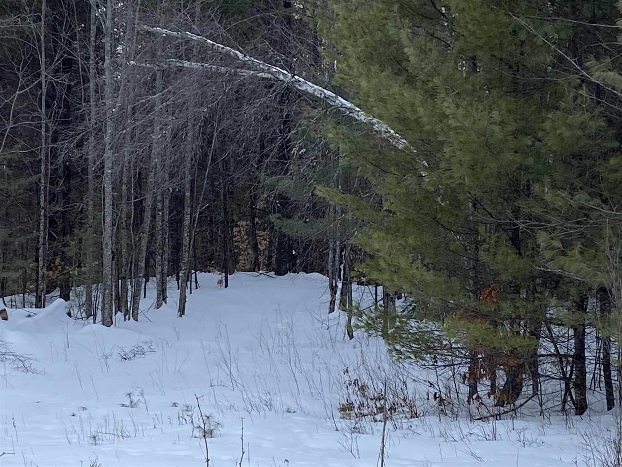 Huckins Hill Road - Photo 1