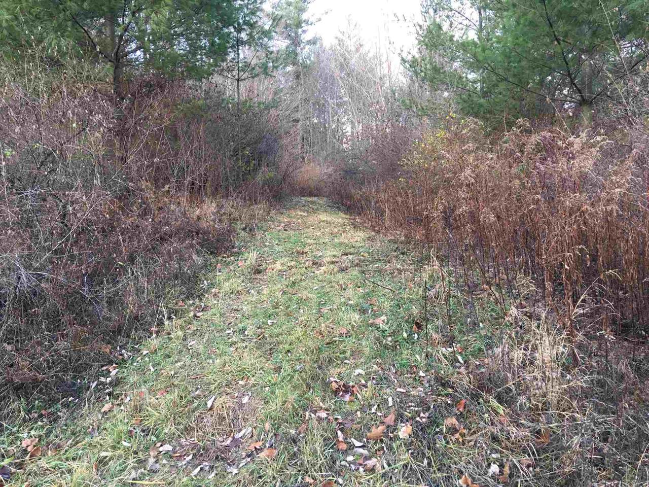 Read Farm Lane - Photo 1