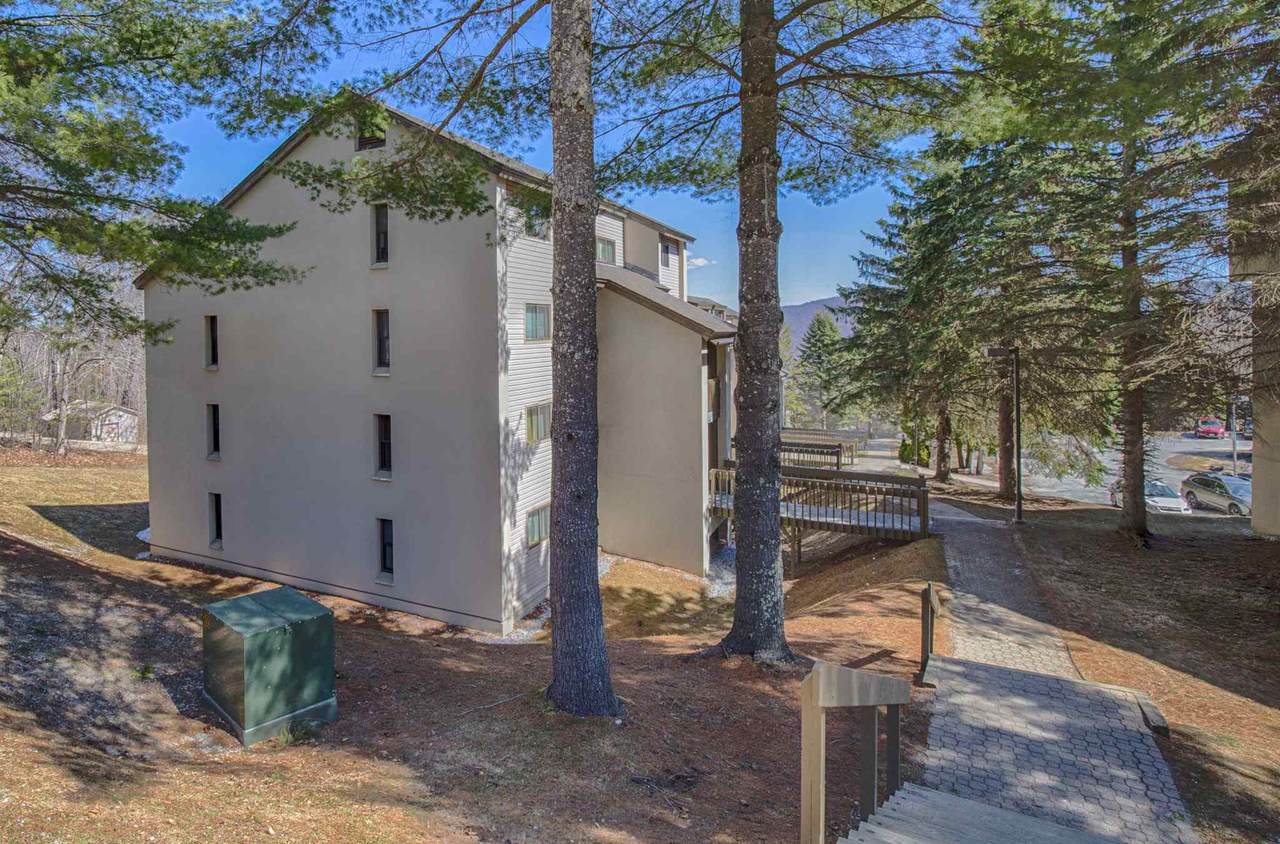 203 Old Mill Road - Photo 1
