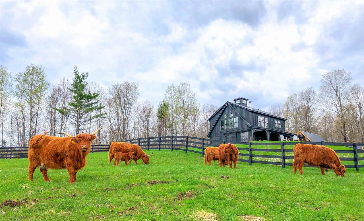 1817 Taplin Hill Road - Photo 1