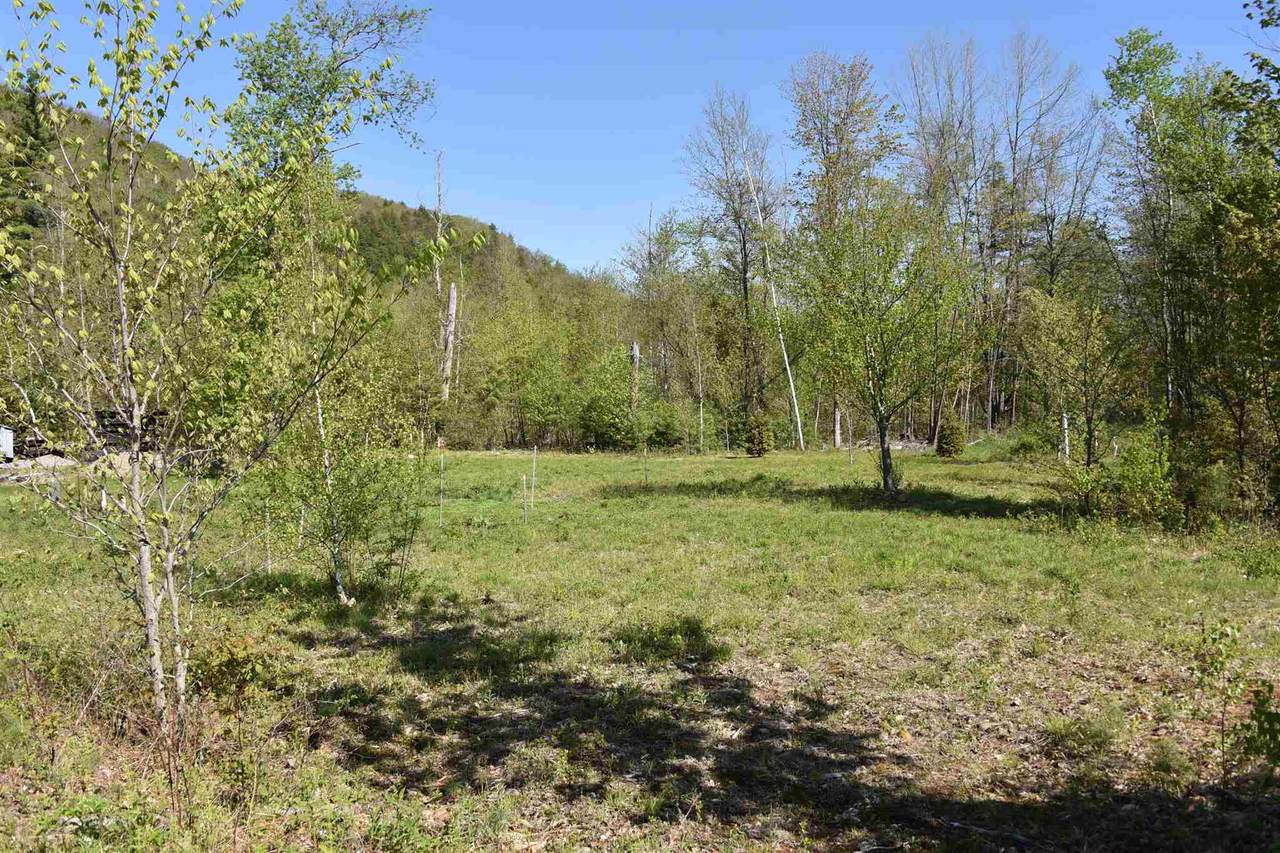 Lot 4 Village Hill Lane - Photo 1