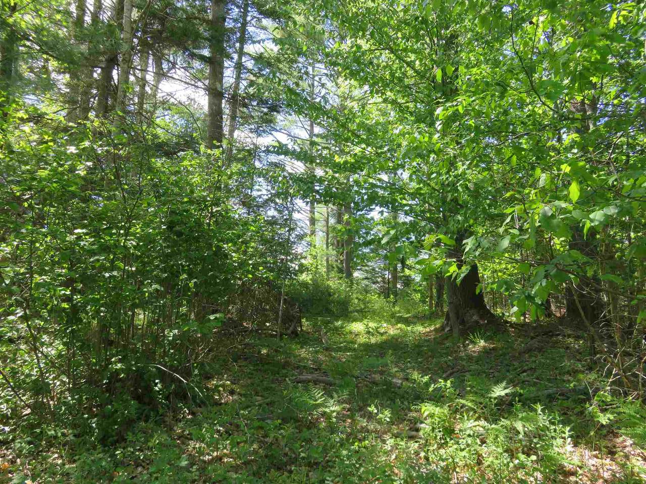 Switch Road - Photo 1