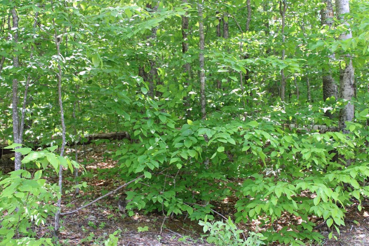17/18/9 Holland Trail Road - Photo 1