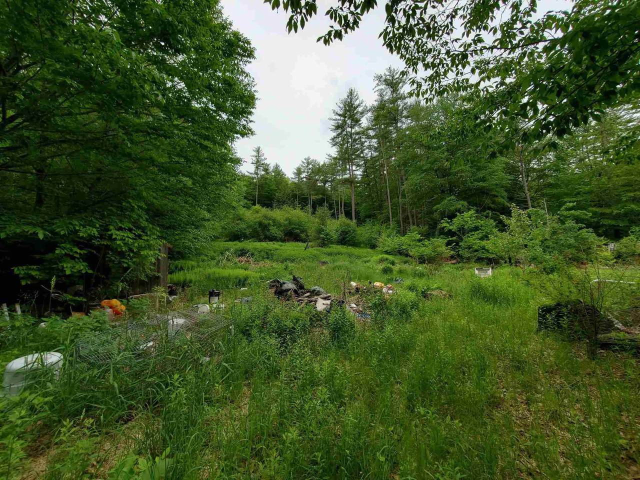 166 Town Line Road - Photo 1