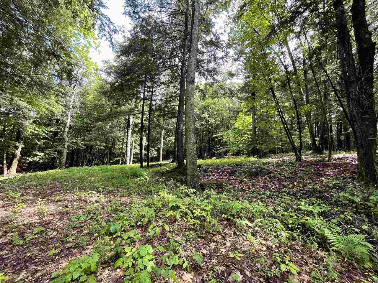 00 Shaker Boulevard - Photo 1