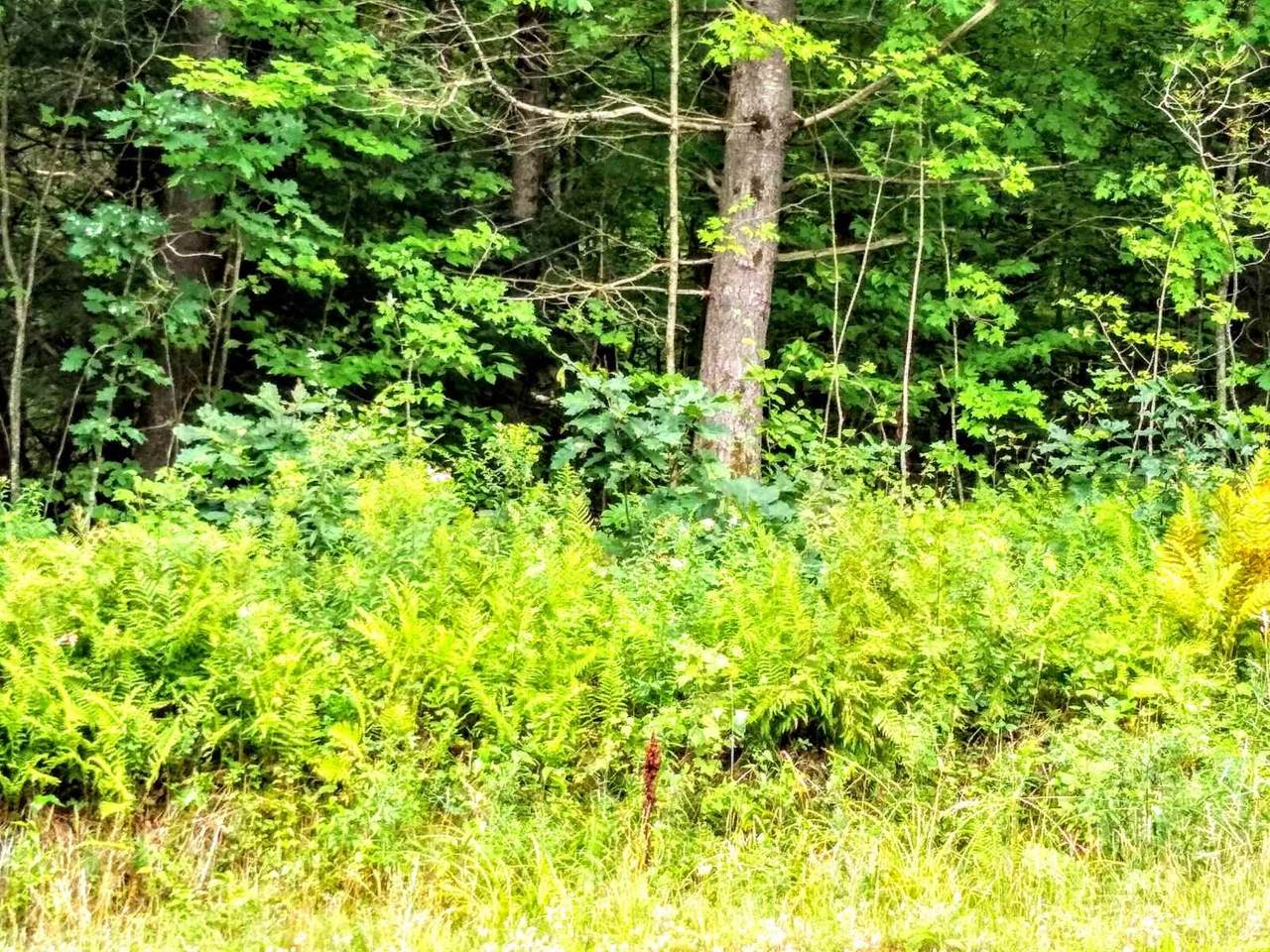 0 Route 123 - Photo 1