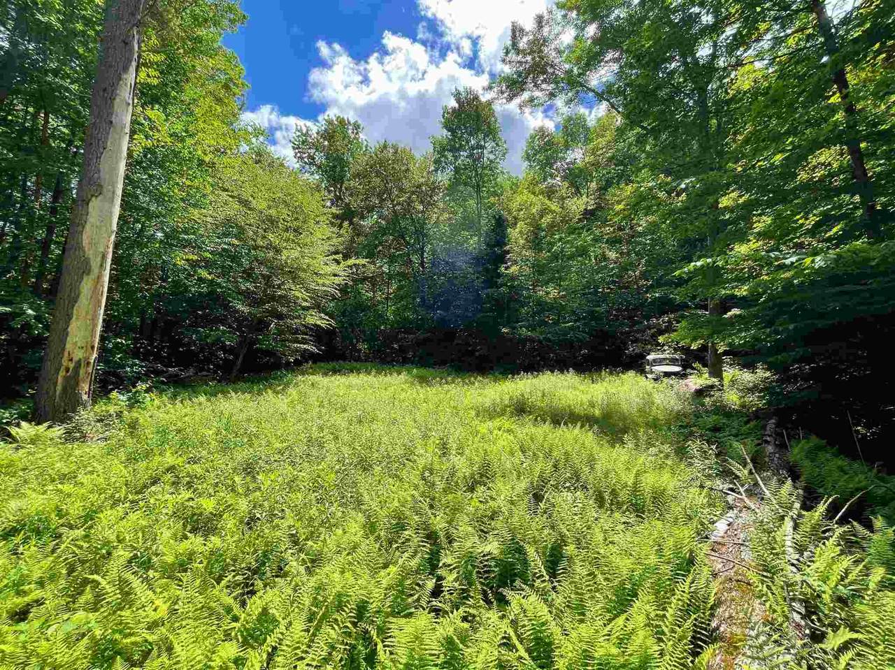 147 Ethan Allen Road - Photo 1