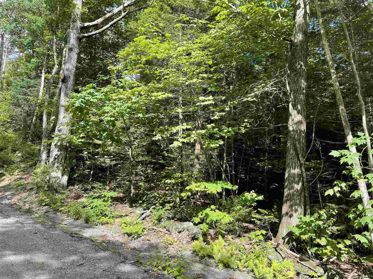 70 Villager Loop - Photo 1