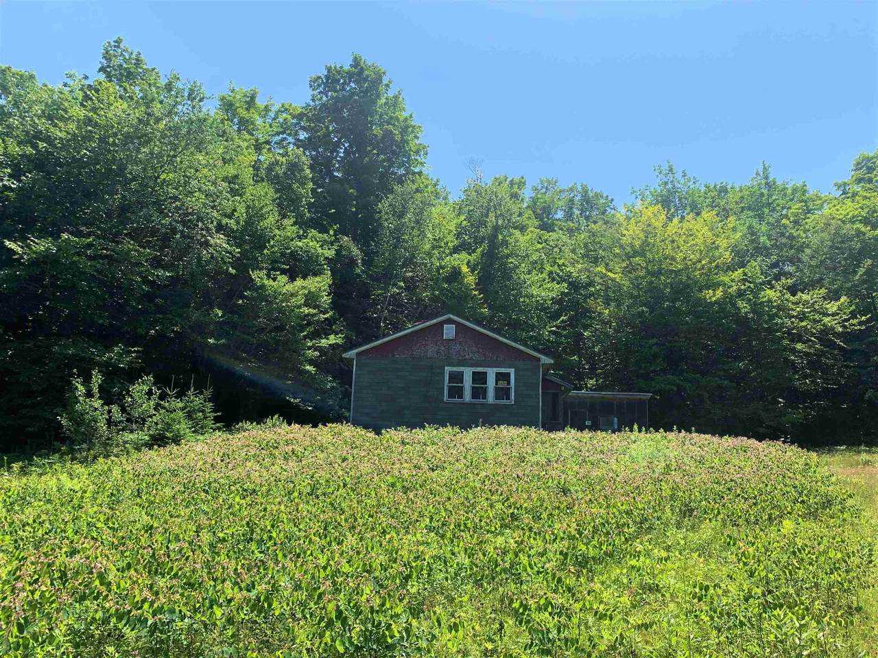 264 Grasshopper Lane - Photo 1