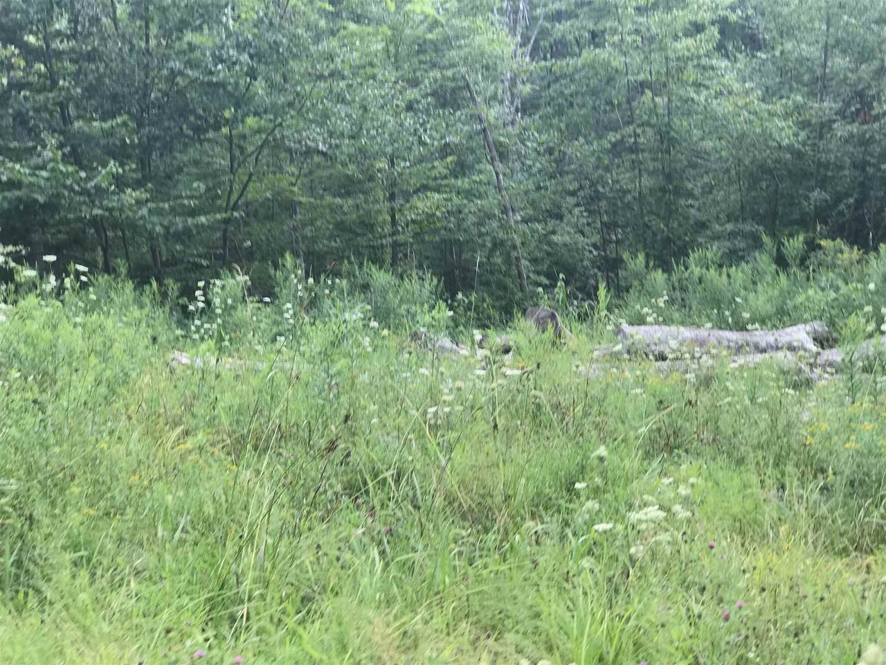 0 Upper Notch Road - Photo 1