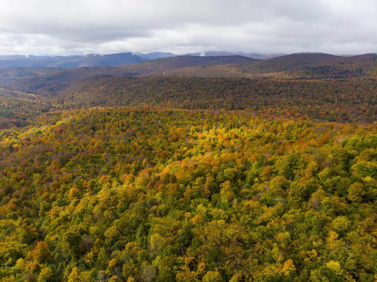 00 River Road - Photo 1