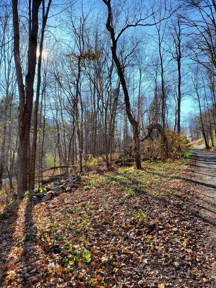 185 Mountain Avenue - Photo 1