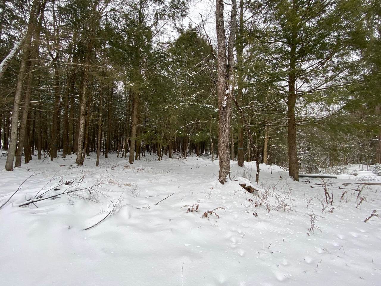 Lot 3 Kays Way - Photo 1