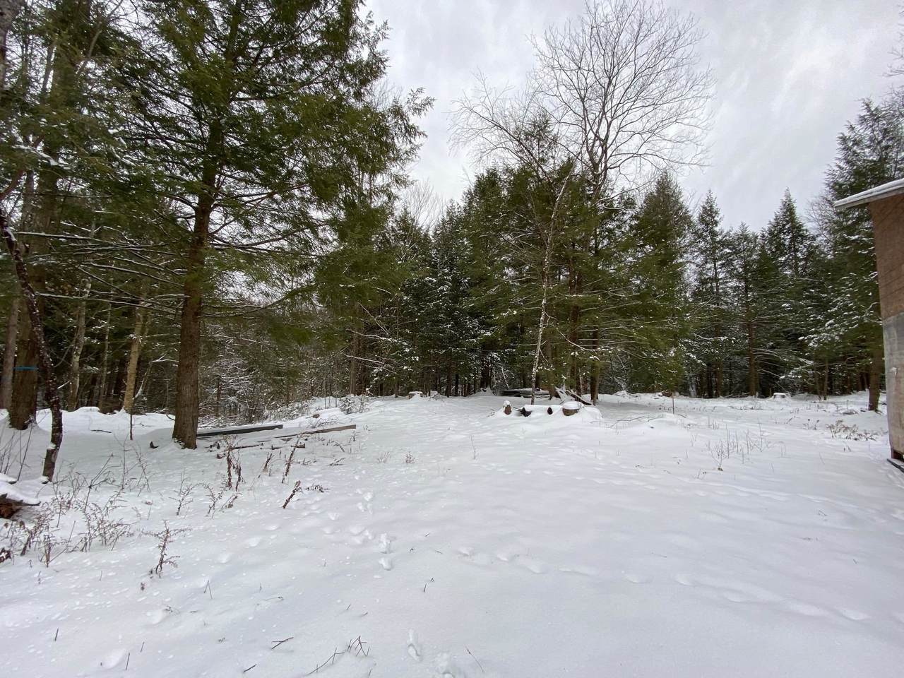 Lot 1 Kays Way - Photo 1