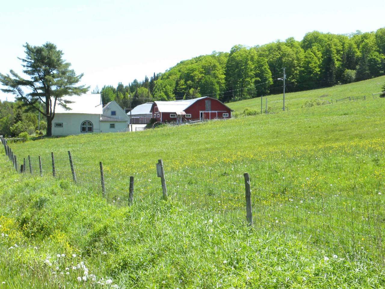 2707 Hudson Road - Photo 1