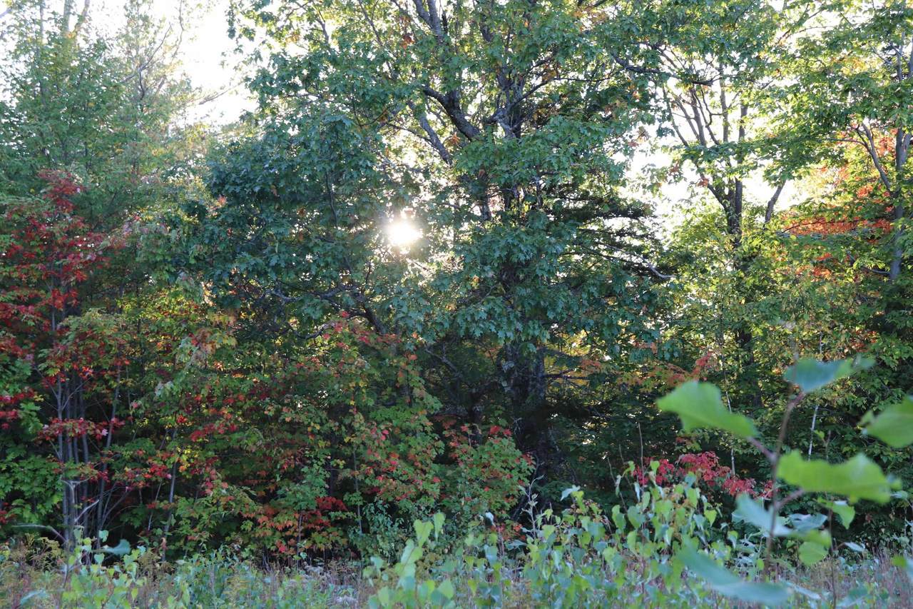 Upper Road - Photo 1
