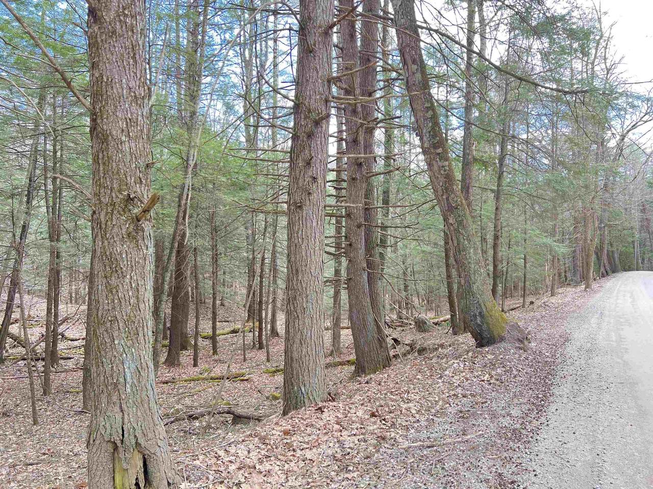 00 Old Drewsville Road - Photo 1