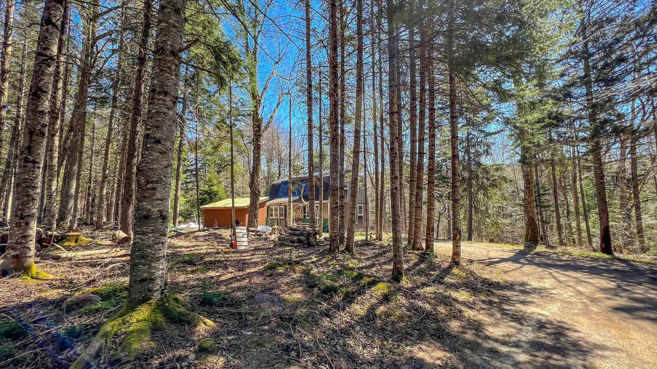 20 Cheney Brook Loop - Photo 1