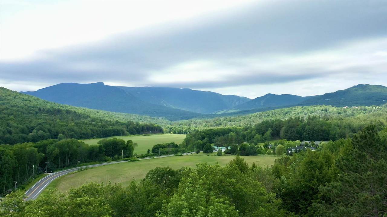 2438 Mountain Road - Photo 1