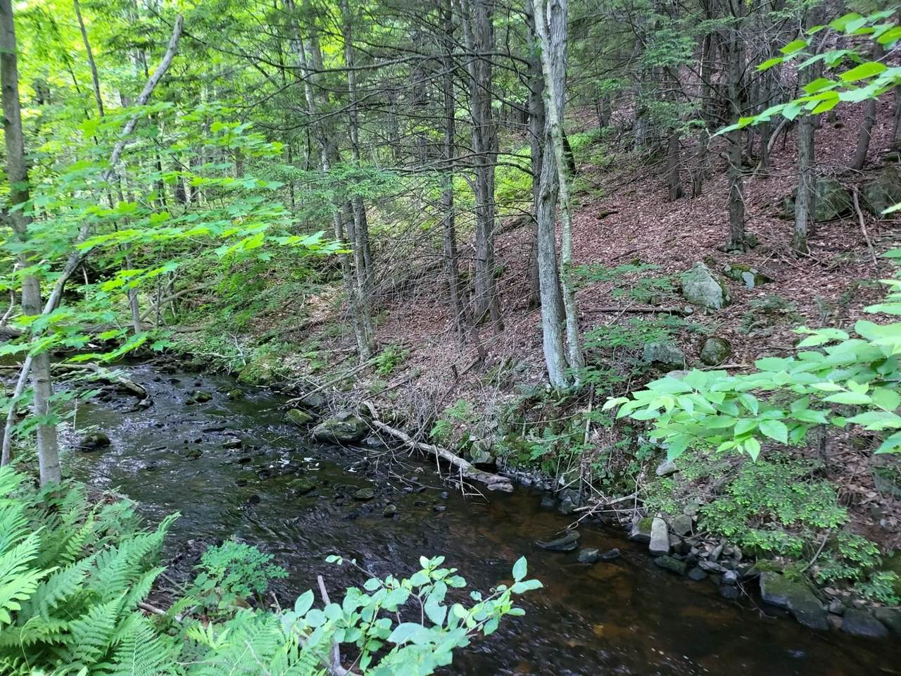 1192 Nh Route 4A - Photo 1