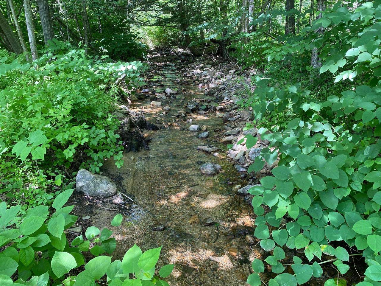 304 Sheridan Road - Photo 1