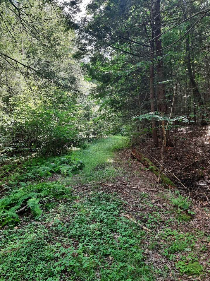 Hartley Hill Road - Photo 1