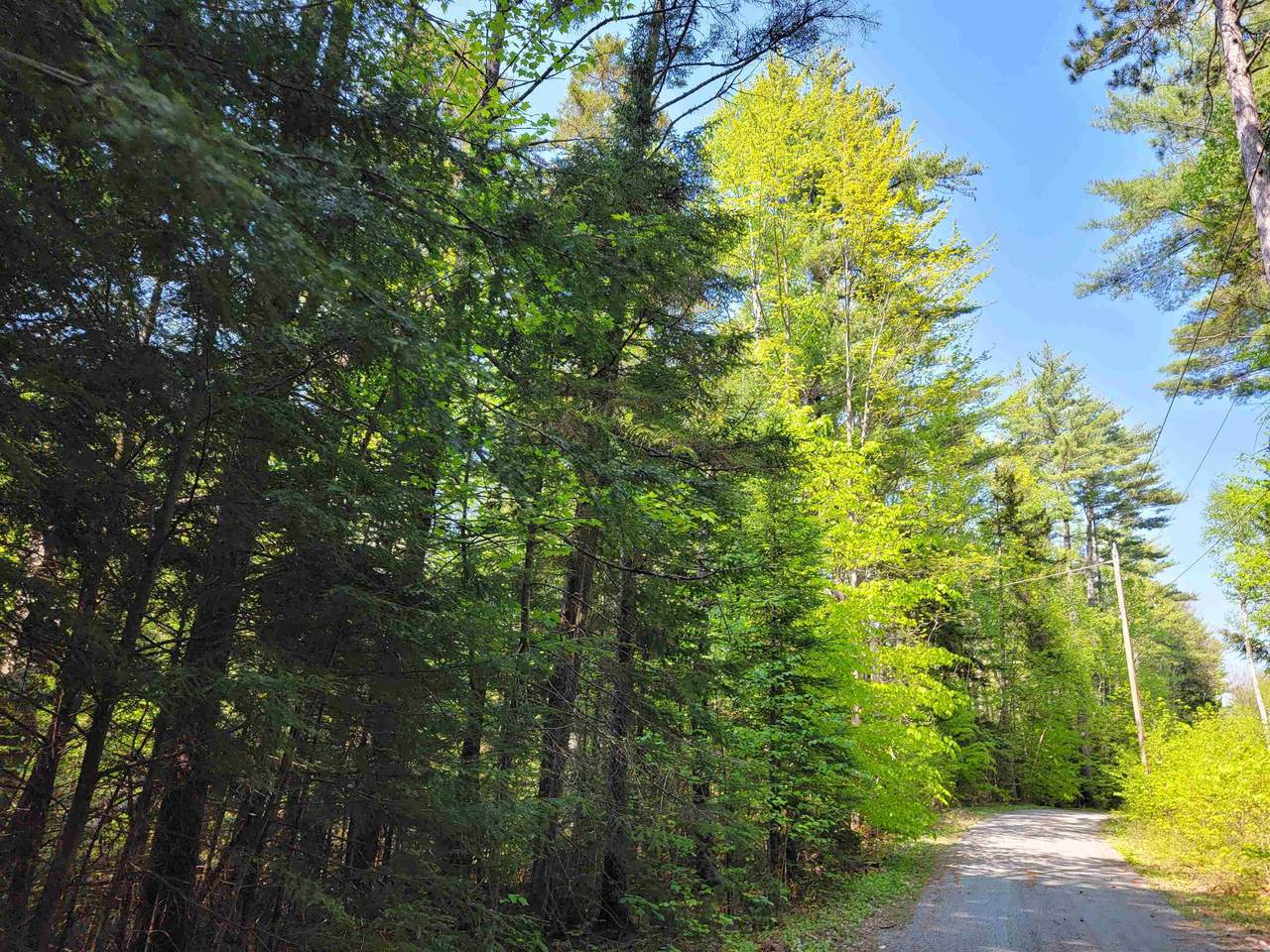 Lot 6 Sugar Hill Road - Photo 1