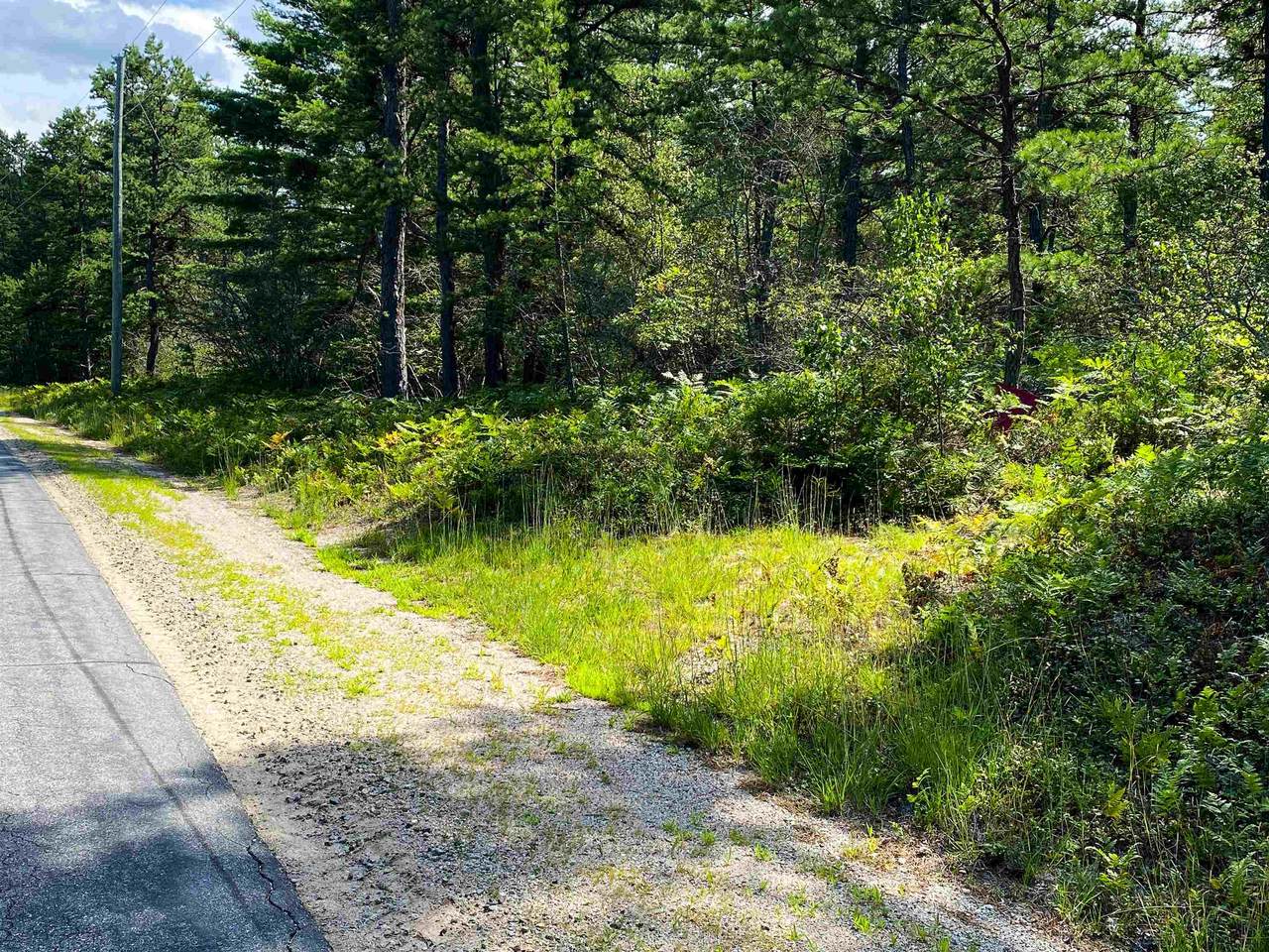 00 Pequawket Trail - Photo 1