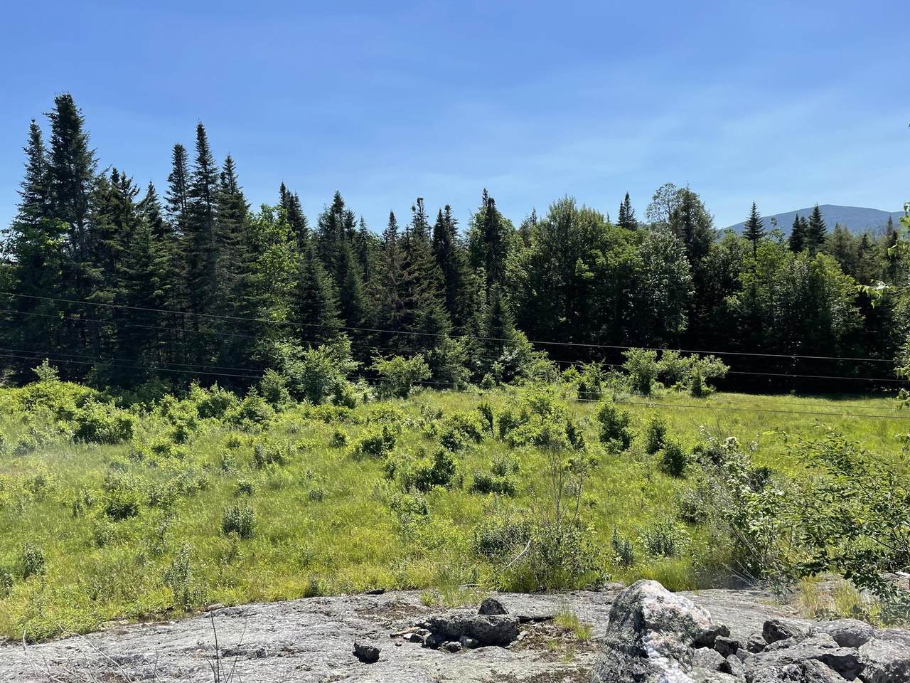 2600 N Hollow Road - Photo 1