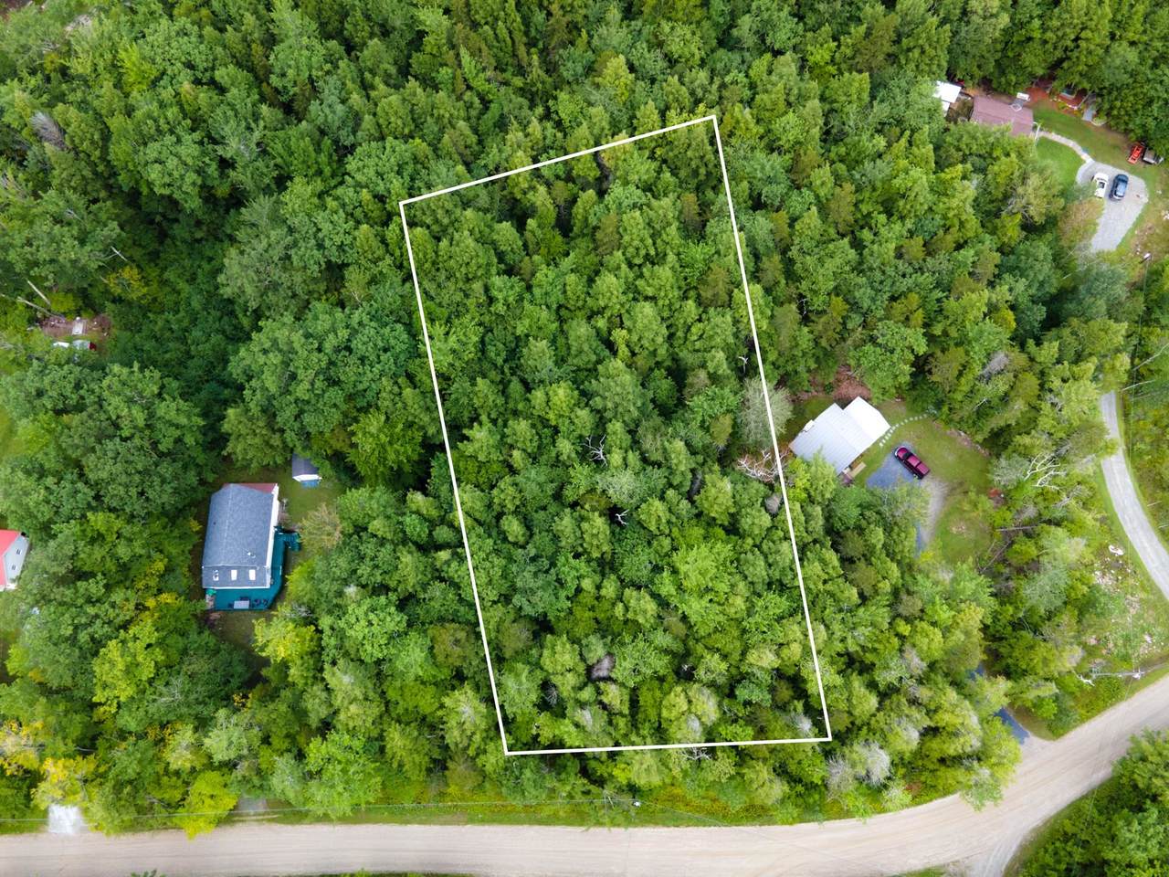 Lot #18 Deep Woods Road - Photo 1