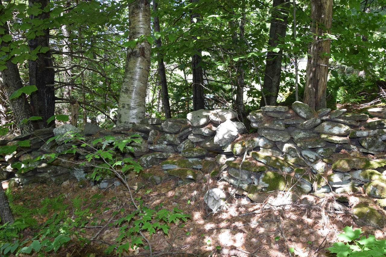 203 Minor Road - Photo 1